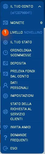 Menu del conto personale MostBet